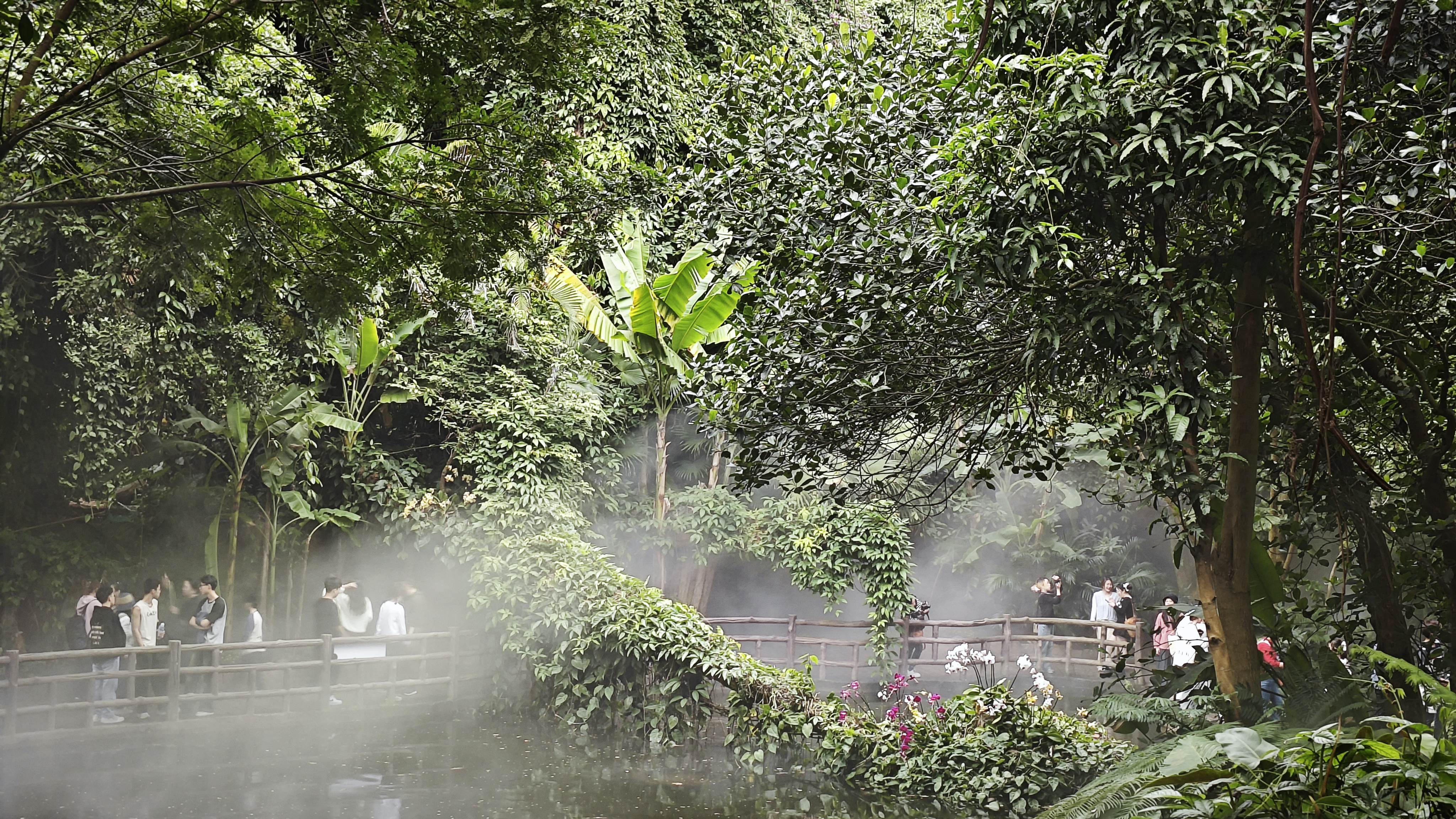 植物园1