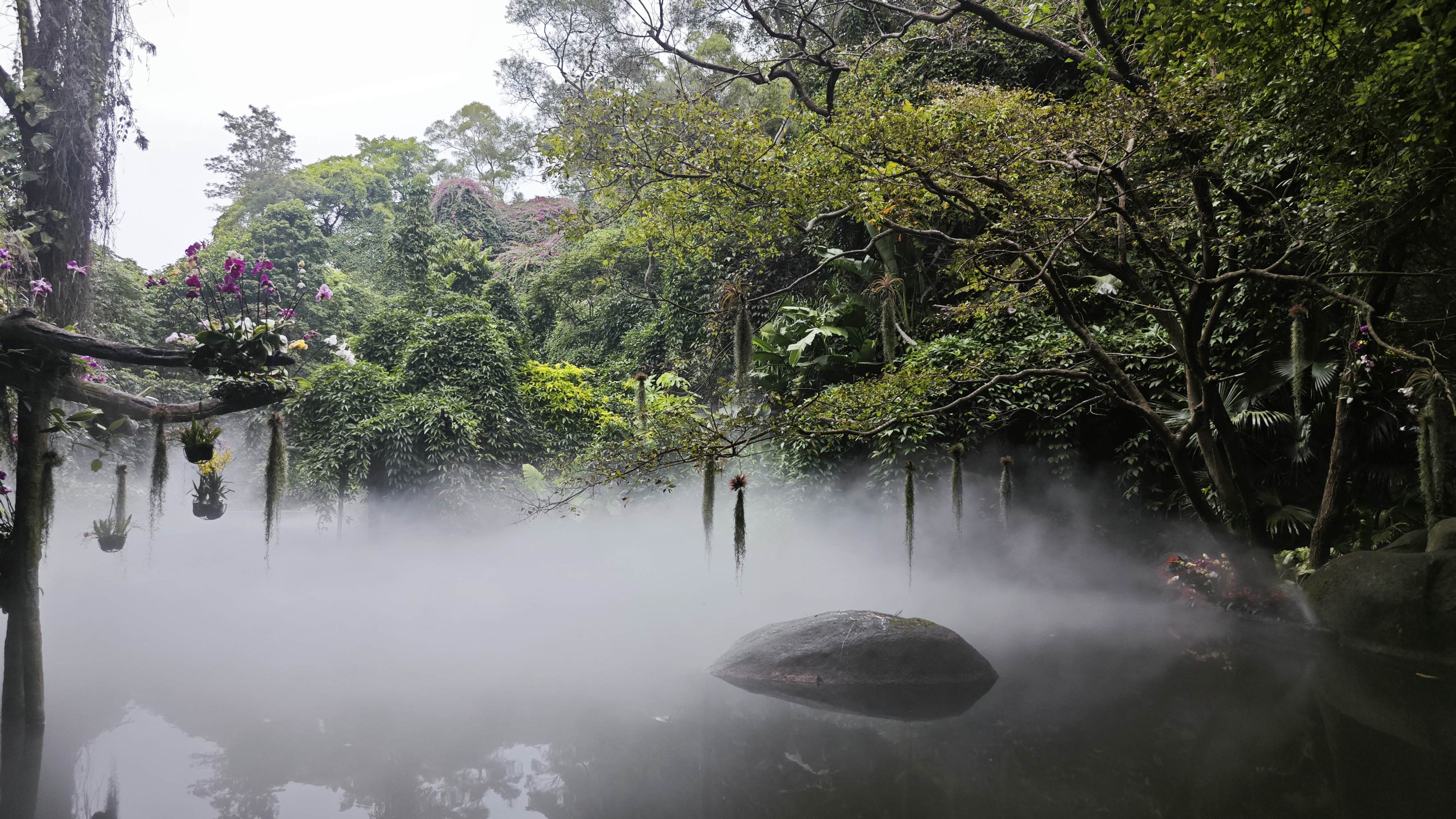 植物园2